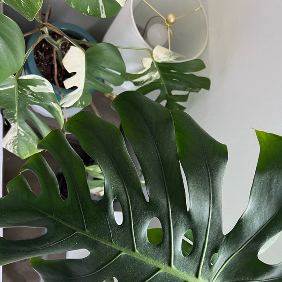 Meet me! - Picture 7 of 7